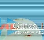 �V�~��V���̂��ƂȂ�HAL�N���j�b�N��